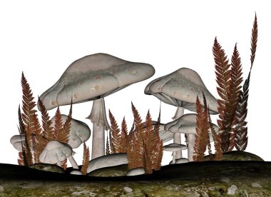 Mantar - 3d render beyaz