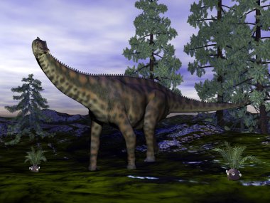 Spinophorosaurus dinazoru - 3D görüntüleme