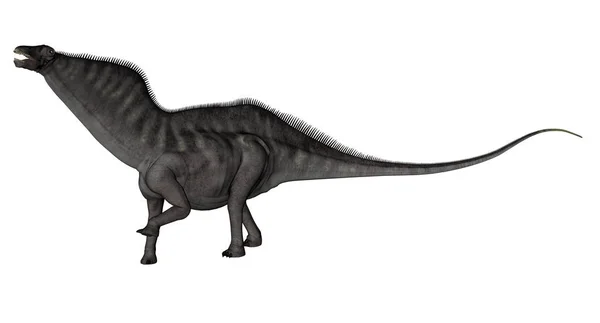 Amargasaurus dinosaur - 3D render — Stock Photo, Image