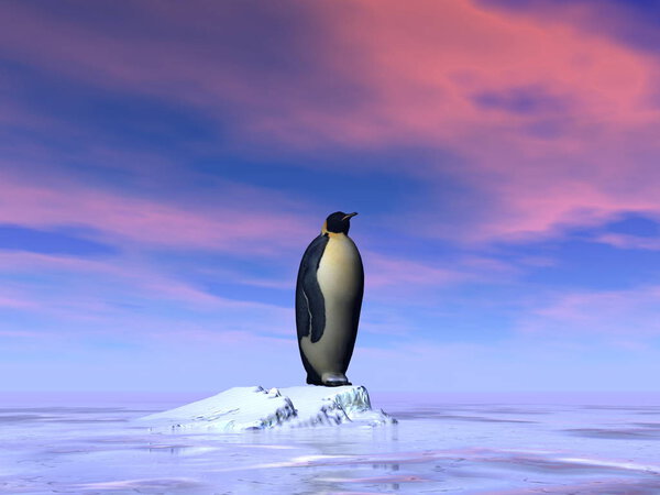 Single emperor penguin - 3D render