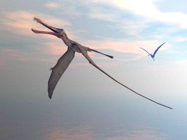 Anhanguera Tarih öncesi kuşlar - 3d render