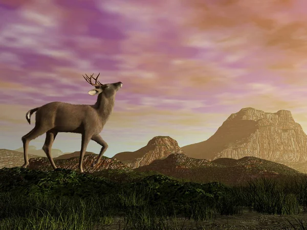 Buck dans la montagne - rendu 3D — Photo