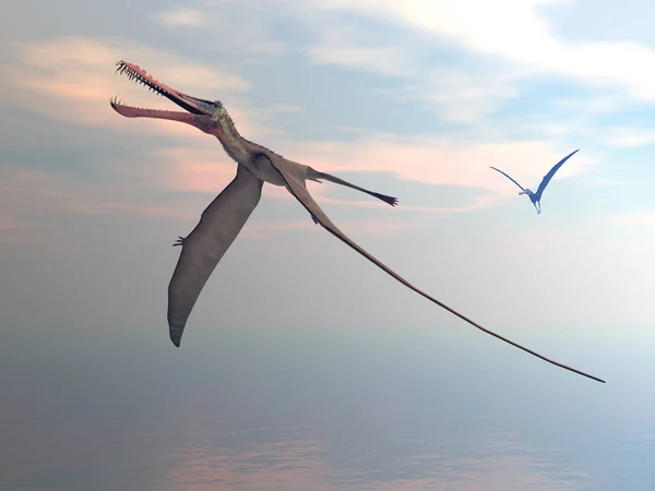 Anhanguera aves prehistóricas - 3D render — Foto de Stock