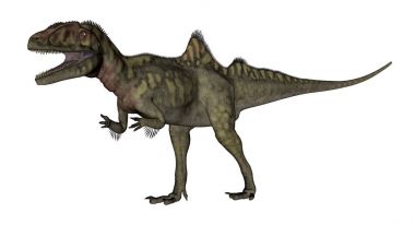 Concavenator dinozor - 3d render kükreyen