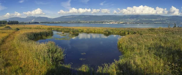 Parc naturel de la Grande Caricaie, lac de Neuchâtel, Suisse — Photo