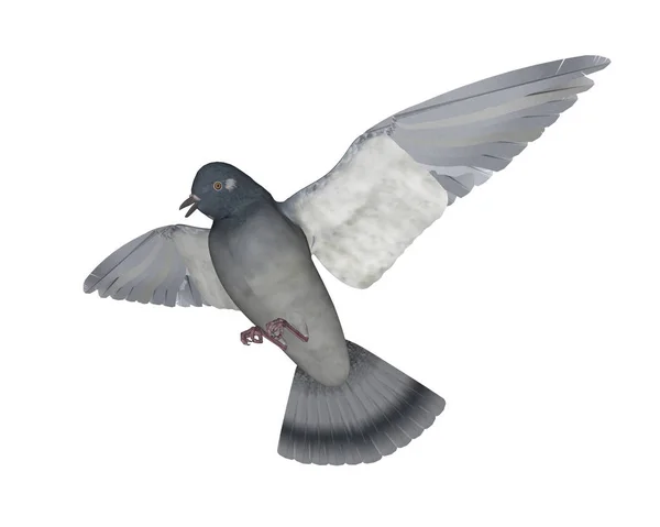 Vuelo de paloma - 3D render — Foto de Stock