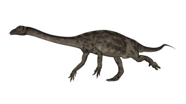 Anchisaurus dinozor - 3d render