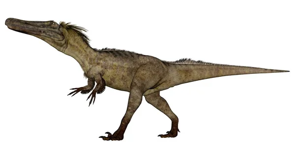 Austroraptor dinosaurus - 3d render — Stockfoto