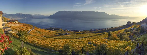 Panorama sobre a região de Lavaux, Vaud, Suíça — Fotografia de Stock
