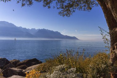 Alp Dağları üzerine Geneva Gölü, Montreux, İsviçre