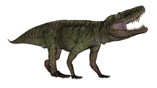 Dinossauro Batrachotomus rugindo 3D render — Fotografia de Stock
