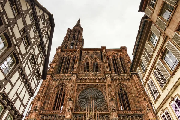 Cathedrale Notre-Dame eller Cathedral of Our Lady i Strasbourg, Al — Stockfoto