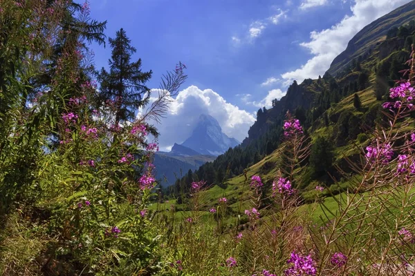 Matterhorn, zermatt, Švýcarsko — Stock fotografie