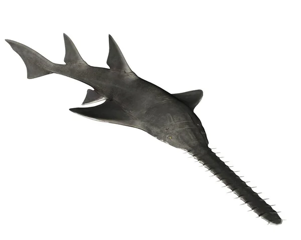 Onchopristis，一个灭绝的巨大硬骨动物的属- - 3D渲染 — 图库照片