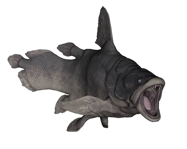 Mawsonia fish in white background - 3D render — Stok Foto