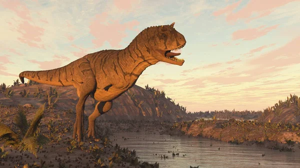 Carnotaurus dinosaurio rugiendo al atardecer - 3D render — Foto de Stock