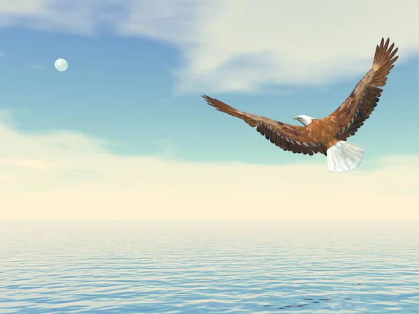 Weißkopfseeadler fliegt zum Mond - 3D-Darstellung — Stockfoto