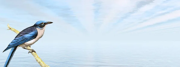Синяя птица смотрит на океан - 3D рендеринг — стоковое фото