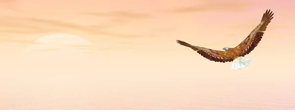 Bald eagle flying to the sun - 3D render — Stock Photo, Image
