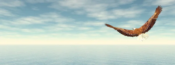 Bald eagle flying to the horizon - 3D render 로열티 프리 스톡 이미지