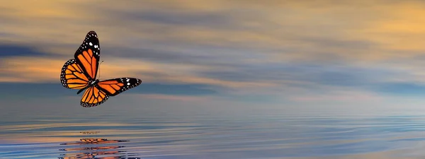 Mariposa volando sobre el océano - 3D render — Foto de Stock