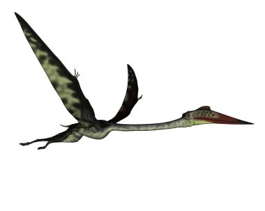 Quetzalcoatlus önümüzde barışçıl bir şekilde uçuyor.