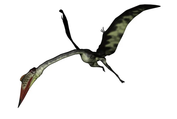 Quetzalcoatlus baş aşağı uçuyor - 3 boyutlu görüntüleme — Stok fotoğraf