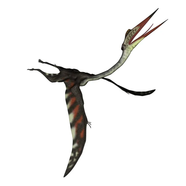 Quetzalcoatlus volando cabeza arriba - 3D render — Foto de Stock