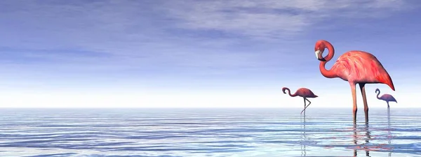水の中のピンクフラミンゴ- 3Dレンダリング — ストック写真