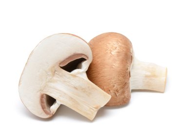 Şampiyon Mantarı beyaz arkaplanda izole edildi