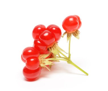 Olgun taş üzerinde izole beyaz arka plan berry