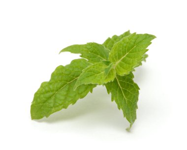 Nane yaprakları beyaz arkaplanda izole edilmiş