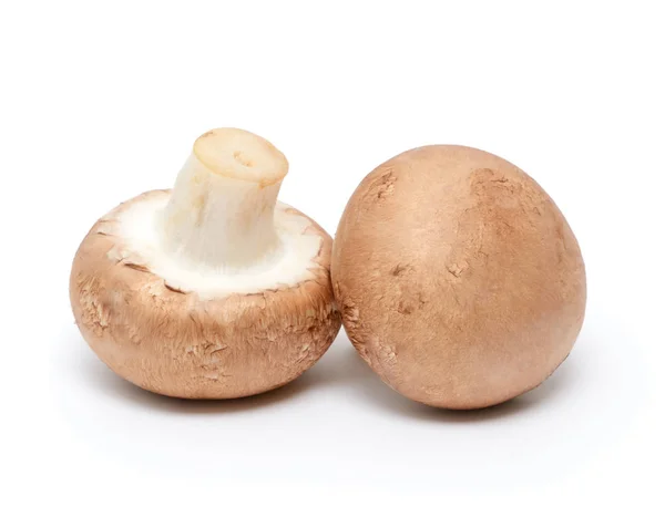 Champignon Paddestoel Geïsoleerd Witte Achtergrond — Stockfoto