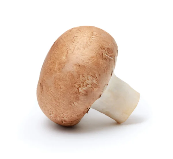 Cogumelo Champignon isolado sobre fundo branco — Fotografia de Stock