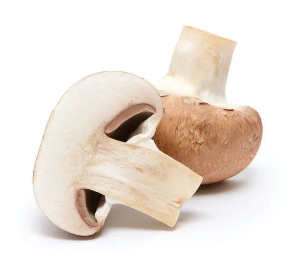 Cogumelo Champignon isolado sobre fundo branco — Fotografia de Stock