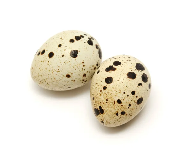 Uova Quaglia Isolate Sfondo Bianco — Foto Stock