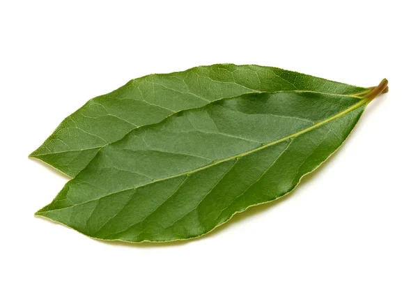 Fresh green bay leaf isolated on white background — Stock Photo, Image