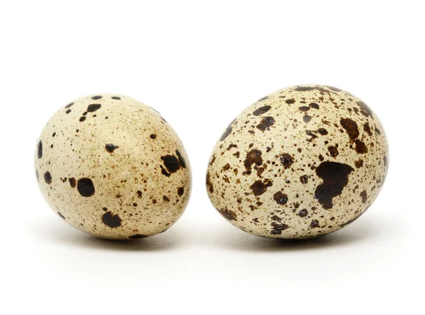 메 추 라 기 달걀 — 스톡 사진