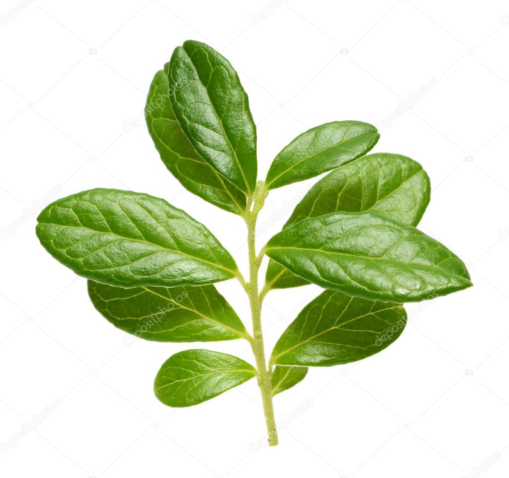 texturis