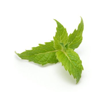 Nane yaprakları beyaz arkaplanda izole edilmiş