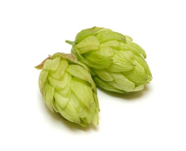 Sekme konisi beyaz arkaplanda izole