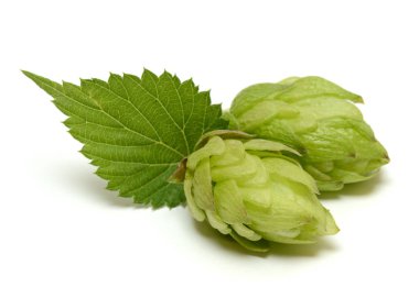 Sekme konisi beyaz arkaplanda izole