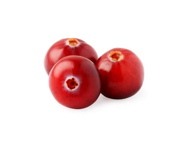 Cranberries Isoladas Sobre Fundo Branco — Fotografia de Stock