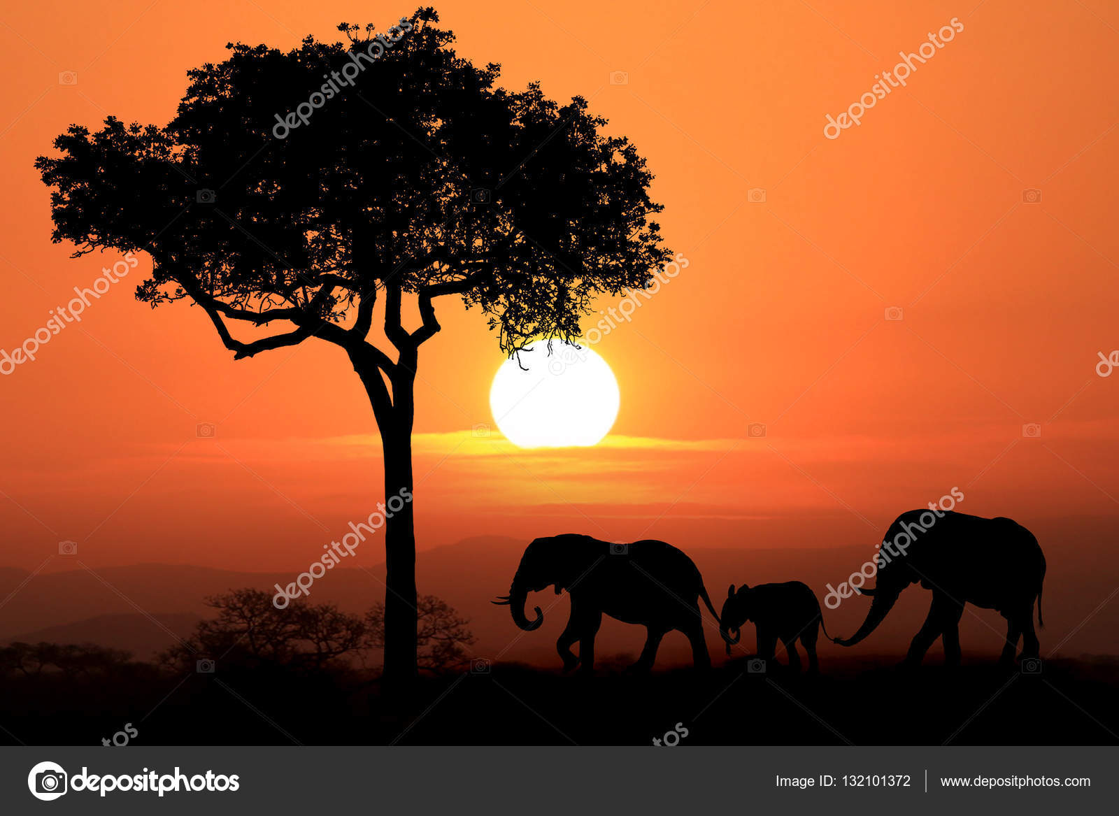 Belle silhouette d'éléphants d'Afrique au coucher du soleil — Photo de  stock par ©tobkatrina - 132101372, image size:1600x1167