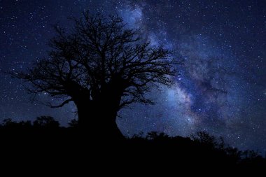 Star Trails Samanyolu'nun Güney Afrika gece gökyüzünde
