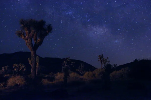 Paisagem pintada de luz de acampamento e estrelas — Fotografia de Stock