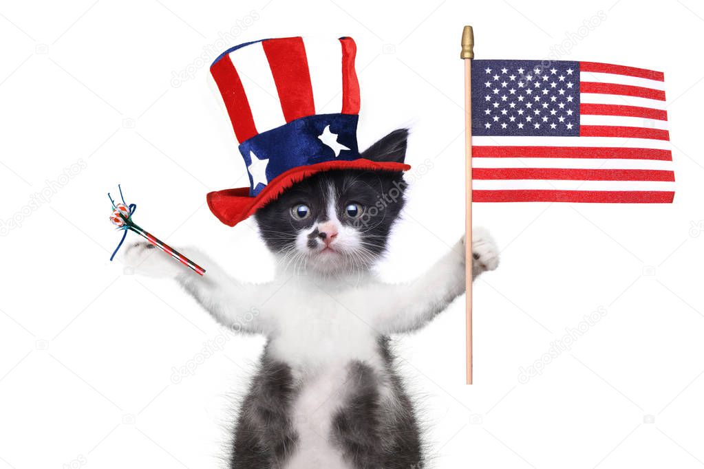 Funny Kitten Celebrating the American Holiday 4th of July