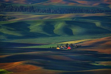 Steptoe Butte Washington'dan Palouse 