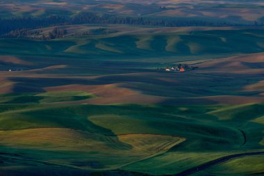 Steptoe Butte Washington'dan Palouse 