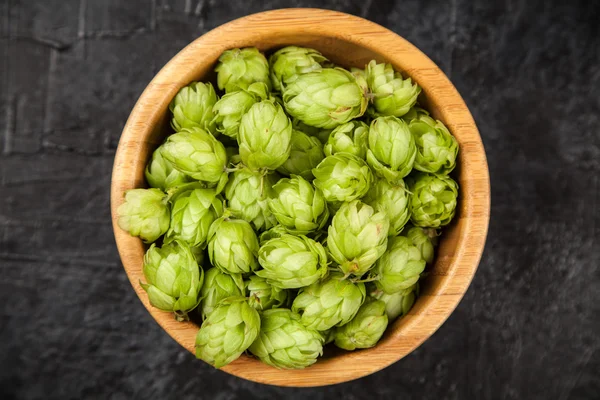 Frischer grüner Hopfen — Stockfoto